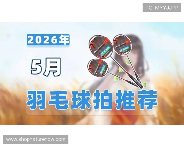 羽毛球拍购买平台推荐与选择指南帮助玩家找到最适合自己的羽毛球拍