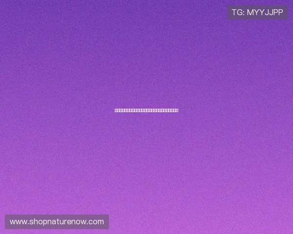 突尼斯日本世界杯比赛场地天气预报及影响比赛的气候因素