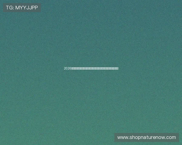 2026世界杯澳大利亚与土耳其比赛交通指南详细解析赛事期间出行最佳方案