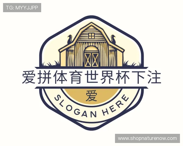 解读爱拼体育世界杯下注